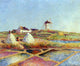 Ferdinand Du Puigaudeau Landscape With Mill near the Salt Ponds Wall Decal