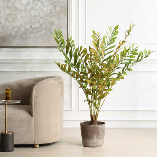Uttermost Zamia Palm Accent, Planter