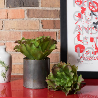 Lifestyle shot in a real environment with plant in pot.