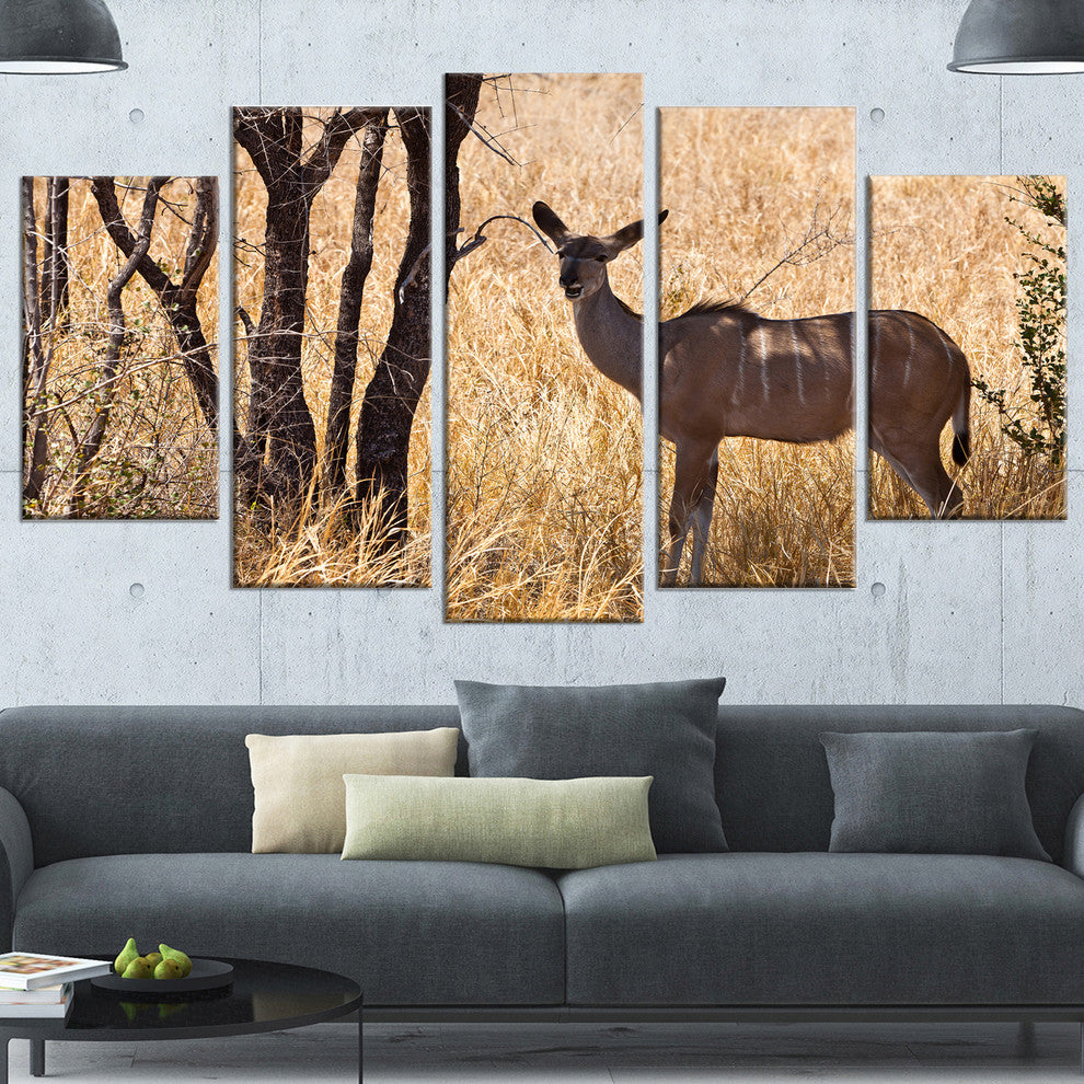 Grants Gazelle Standing in Long Grass, Animal Canvas Print, 60"x32", 5 Panels