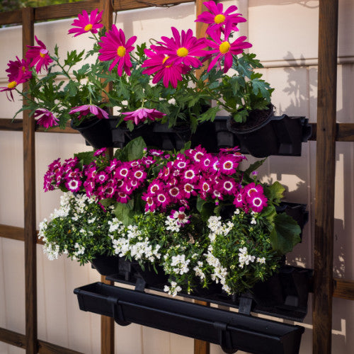 Watex Picture Garden Starter Kit