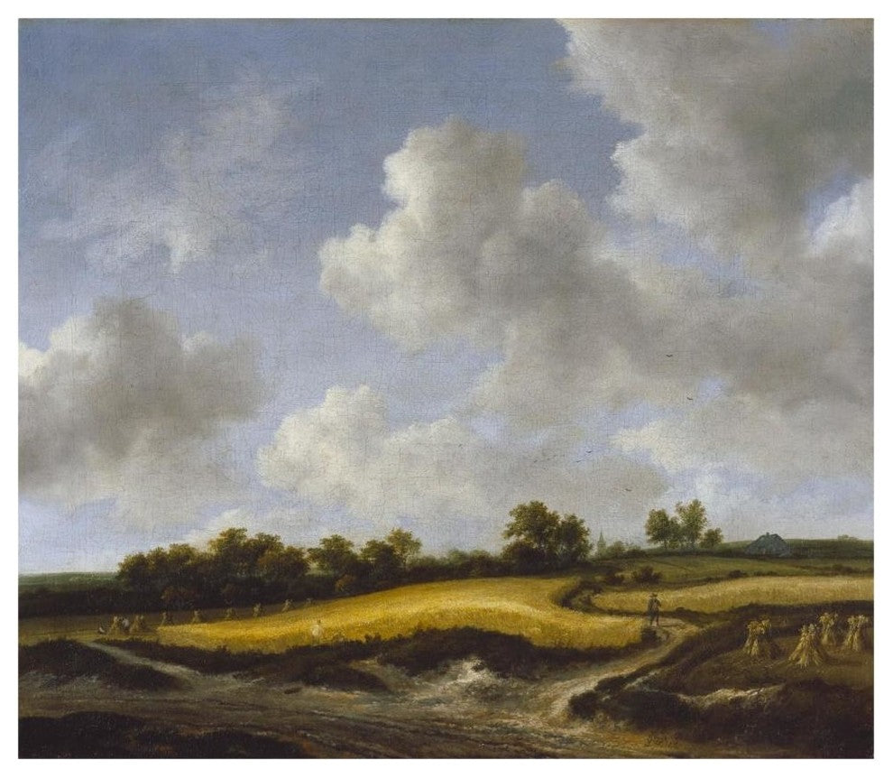 "Landscape with a Wheatfield" Digital Paper Print by Jacob van Ruisdael, 46"x40"