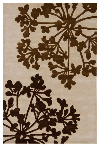 Int Transitional Area Rug, 5'x7'6"