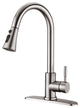 Single Handle Deck Mounted High Arc Pull Down Kitchen Faucet with Sprayer, Brush