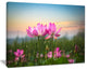 "Blooming Lotus Flowers at Sunset" Floral Canvas Photo Print, 40"x30"