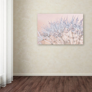 Cora Niele 'Dandelion Dew II' Canvas Art