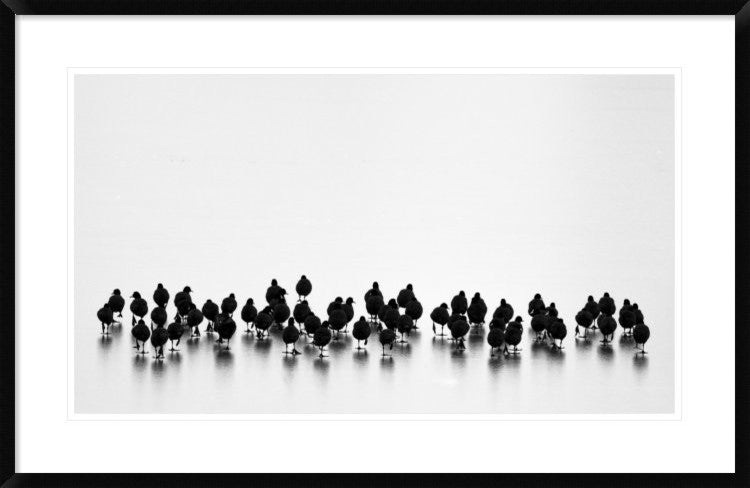 "Untitled" Framed Digital Print by Yordan Vasilev, 38x24"