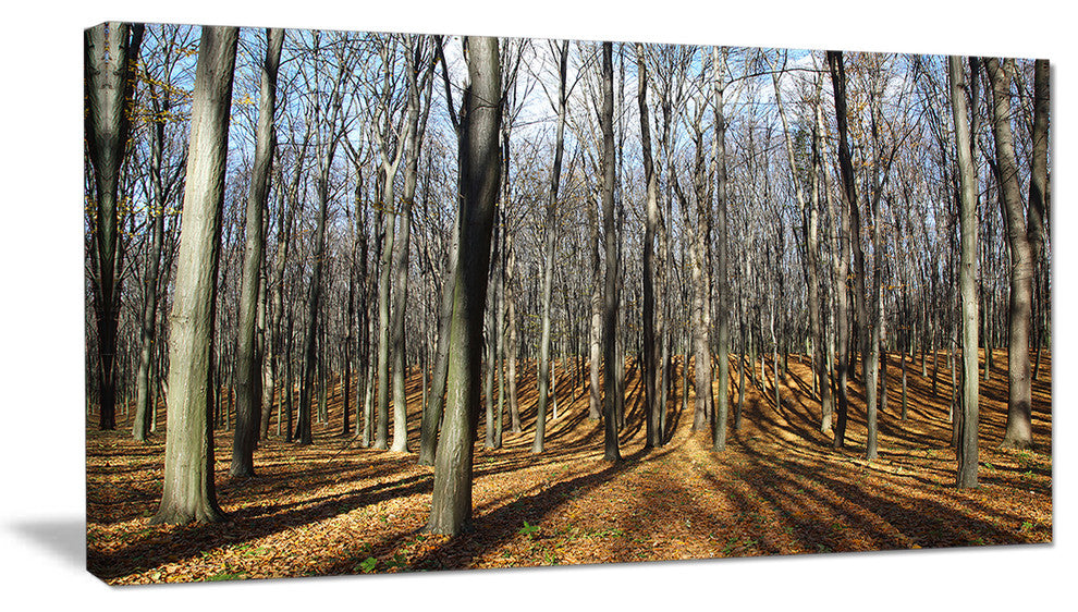 Shade from Sun in Autumn Forest, Modern Forest Canvas Art, 32"x16"