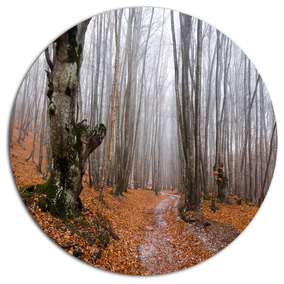 Road Covered By Fallen Leaves, Modern Forest Disc Metal Wall Art, 11"