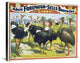 "Adam Forepaugh & Sells Brothers Giant Birds" Canvas Giclee, 30"x24"