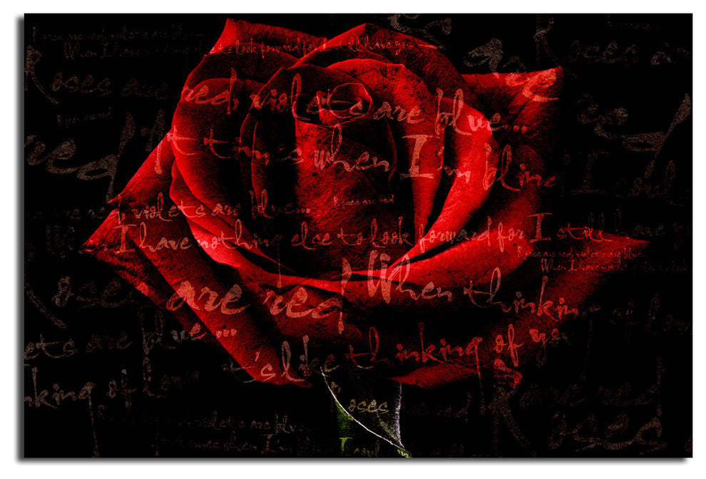 Roses are Red IV Canvas Wall Art