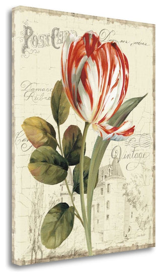 "Garden VIew II - Red Tulip" By Lisa Audit, Giclee Print on Gallery Wrap Canvas