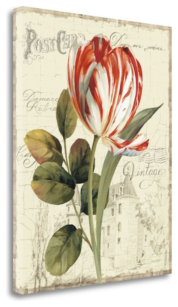 "Garden VIew II - Red Tulip" By Lisa Audit, Giclee Print on Gallery Wrap Canvas