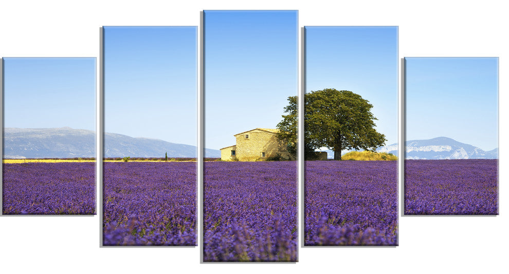 "Lavender Flowers Blooming Field" Landscape Wall Art Print, 5 Panels, 60"x32"