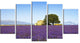 "Lavender Flowers Blooming Field" Landscape Wall Art Print, 5 Panels, 60"x32"