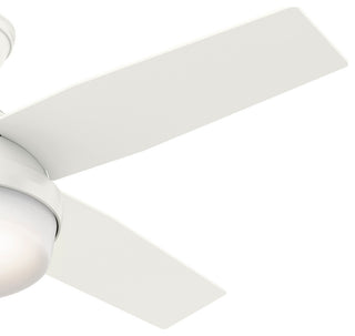 Hunter Fan Company 44" Dempsey Fresh White Ceiling Fan With Light/Remote