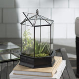 Six Sided Glass Terrarium, Wardian Case Plant Container