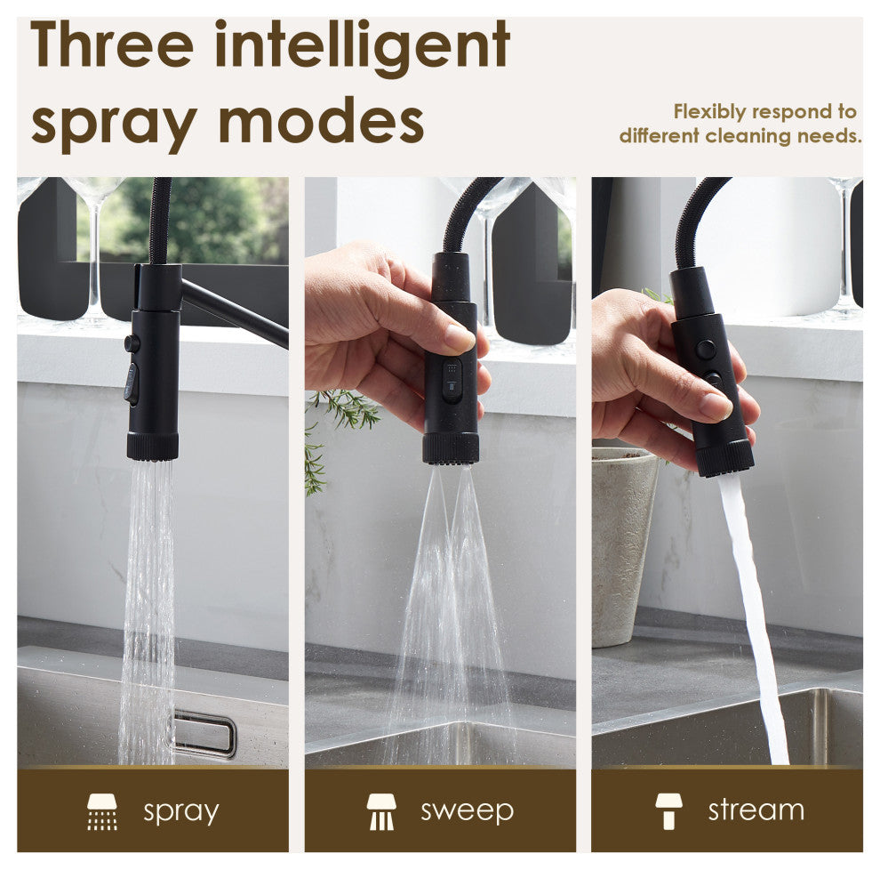 Nette Single-Handle Kitchen Faucet With Pull Down Sprayer, Matte Black