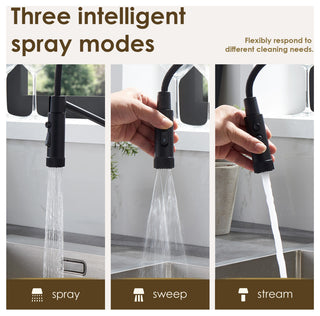 Nette Single-Handle Kitchen Faucet With Pull Down Sprayer, Matte Black