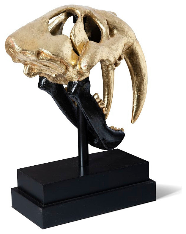 Saber Tooth Tiger Skull, Black, Gold Leaf