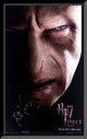 Harry Potter and the Deathly Hallows: Part 1 signed movie poster