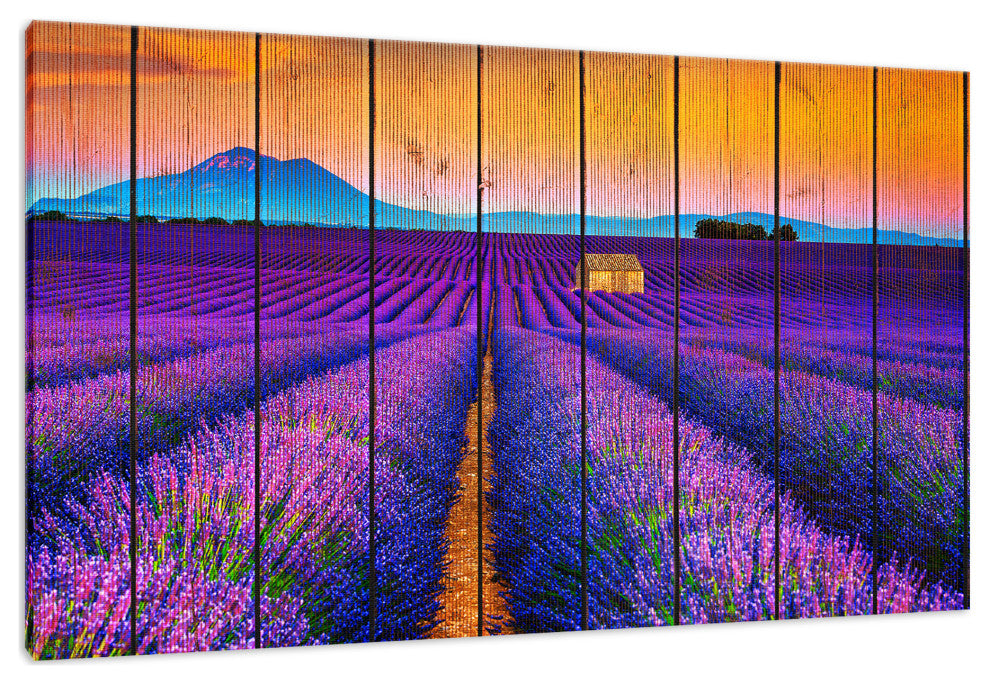 Faux Wood Lavender Fields and Sunset Landscape Canvas Prints, 18" X 24"