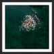"Breaststroke" Framed Print by Karolis Janulis