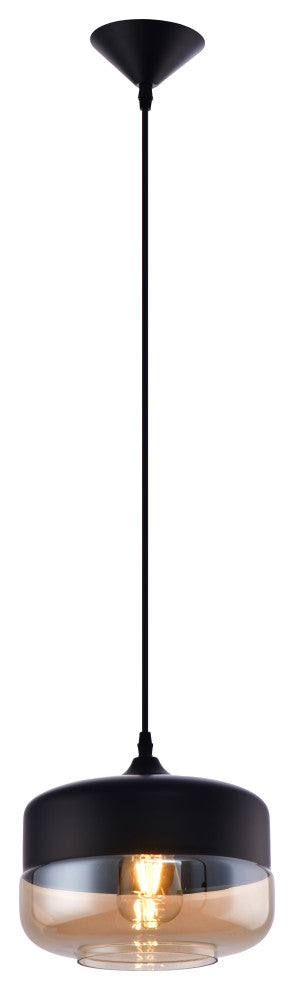 Lazzur Acolin 1 Light 10" Matte Black Pendant