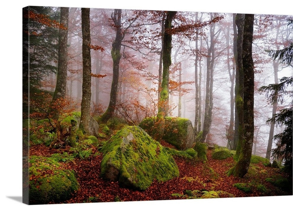 "Forest Sanctuary" Wrapped Canvas Art Print, 24"x16"x1.5"