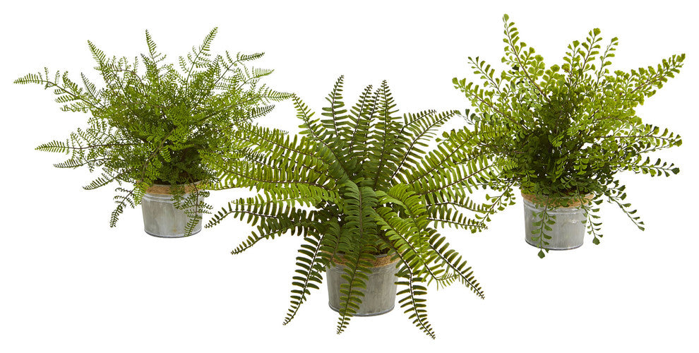14" Assorted Ferns with Planter Artificial Plant, Set of 3