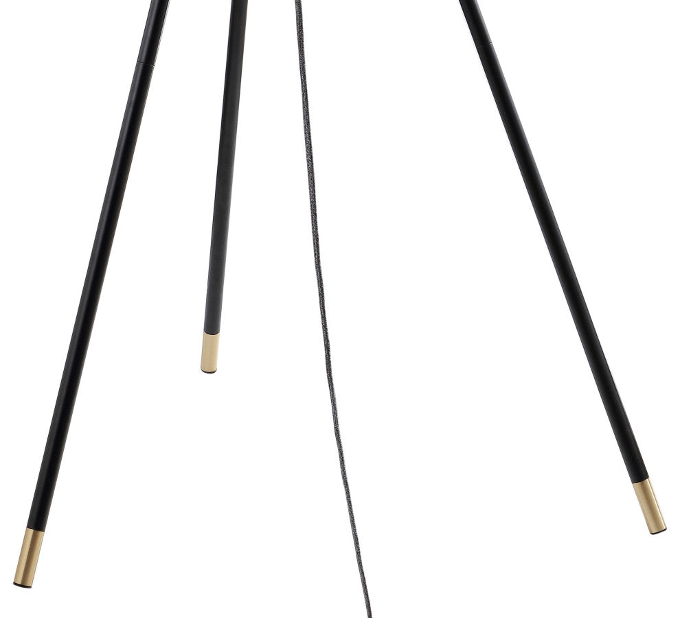 Lucius Adjustable Metal LED Floor Lamp