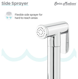 Avallon Pro Widespread Kitchen Faucet With Side Sprayer, Chrome