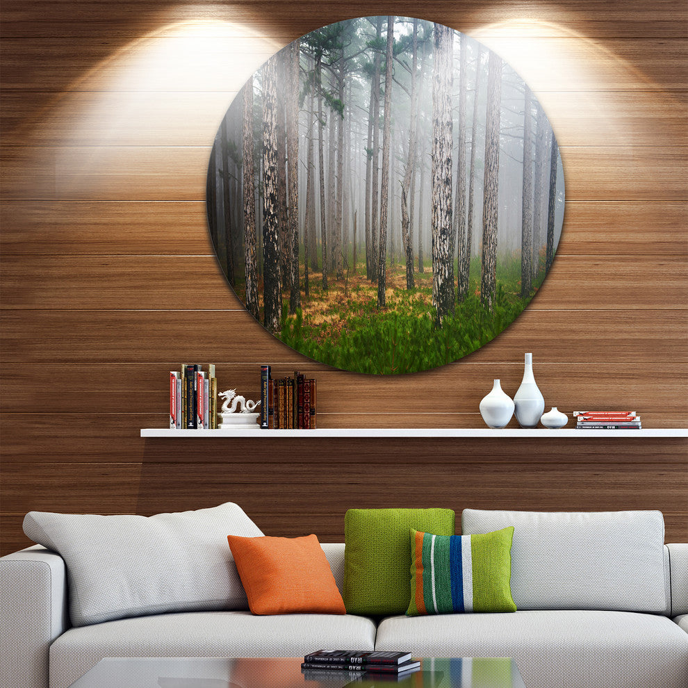 Dense Misty Forest, Landscape Photography Large Disc Metal Artwork, 36"