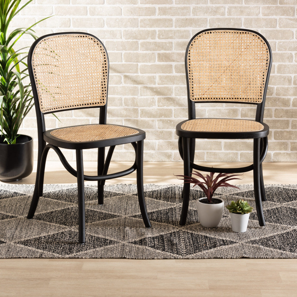 Jolyn Mid-Century 2-Piece Dining Chairs, Black