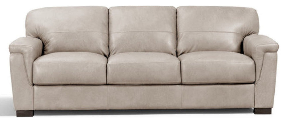 Benzara BM275694 91" Sofa, T Cushion Back, Beige Genuine Leather, Padded Arms