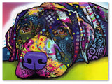 Dean Russo 'Savvy Labrador' Canvas Art, 26x32