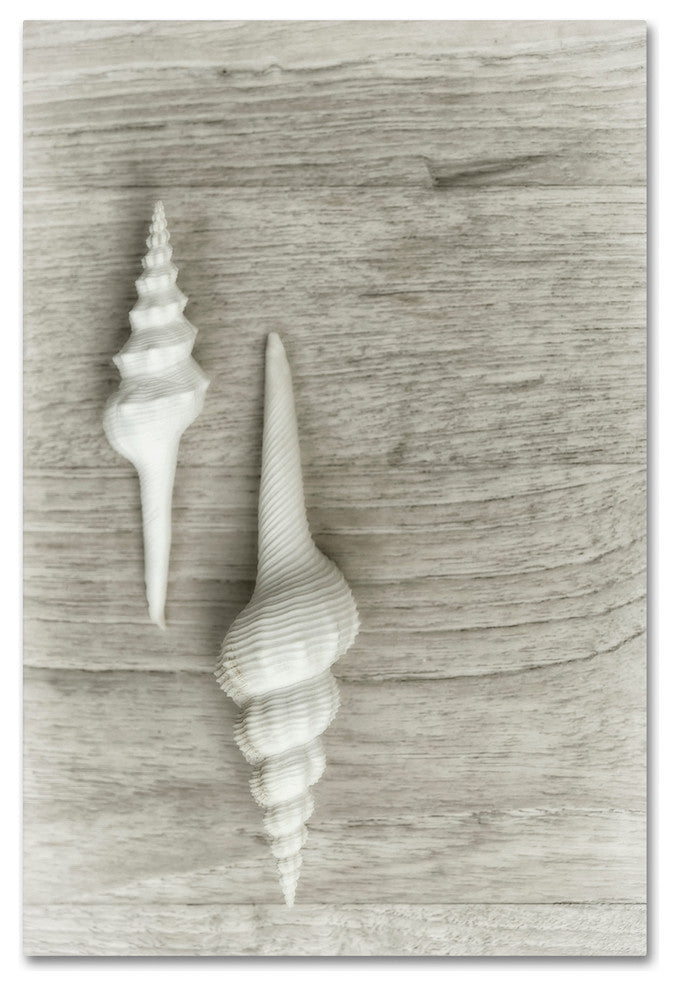 Cora Niele ''Two White Shells'' Canvas Art