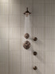 Delta Showering Components 3-Setting Shower Head, Venetian Bronze, RP34355RB