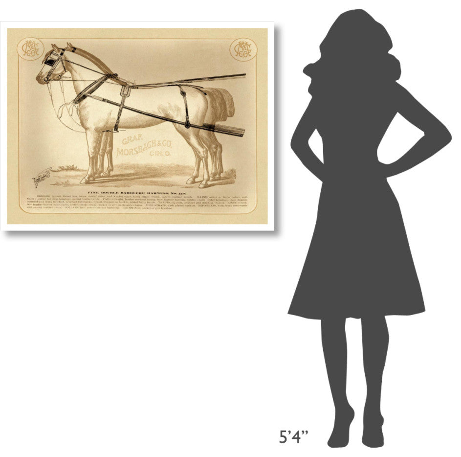 "Saddles and Tack: Fine Double Barouche Harness" Paper Print, 42"x32"