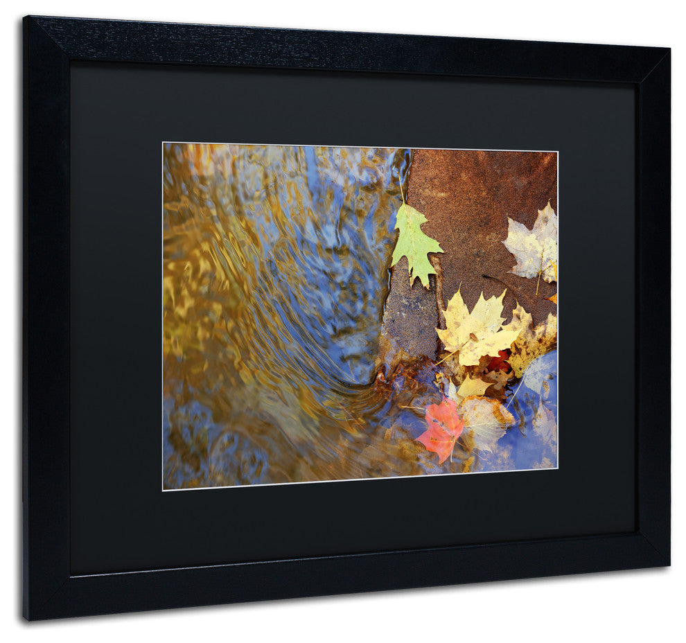 Jason Shaffer 'Arb' Matted Framed Art, Black Frame, Black Mat, 20x16