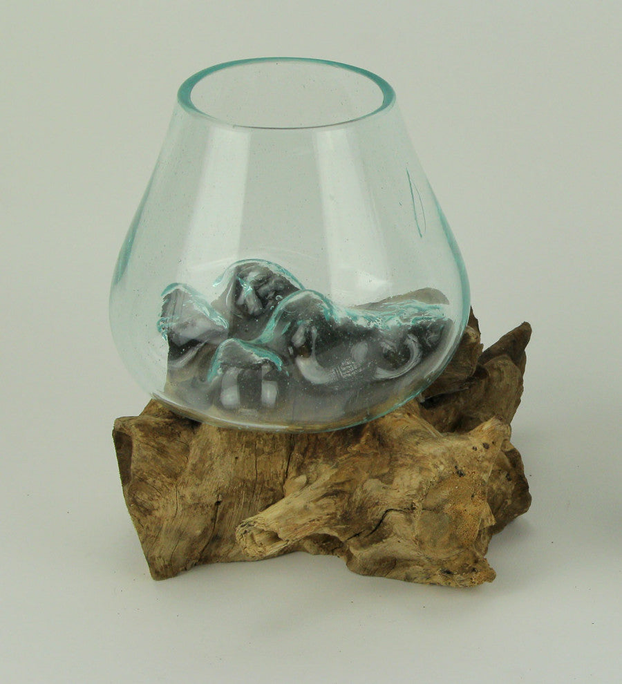 Clear Molten Glass On Teak Driftwood Base Decorative Bowl Vase Terrarium Plante