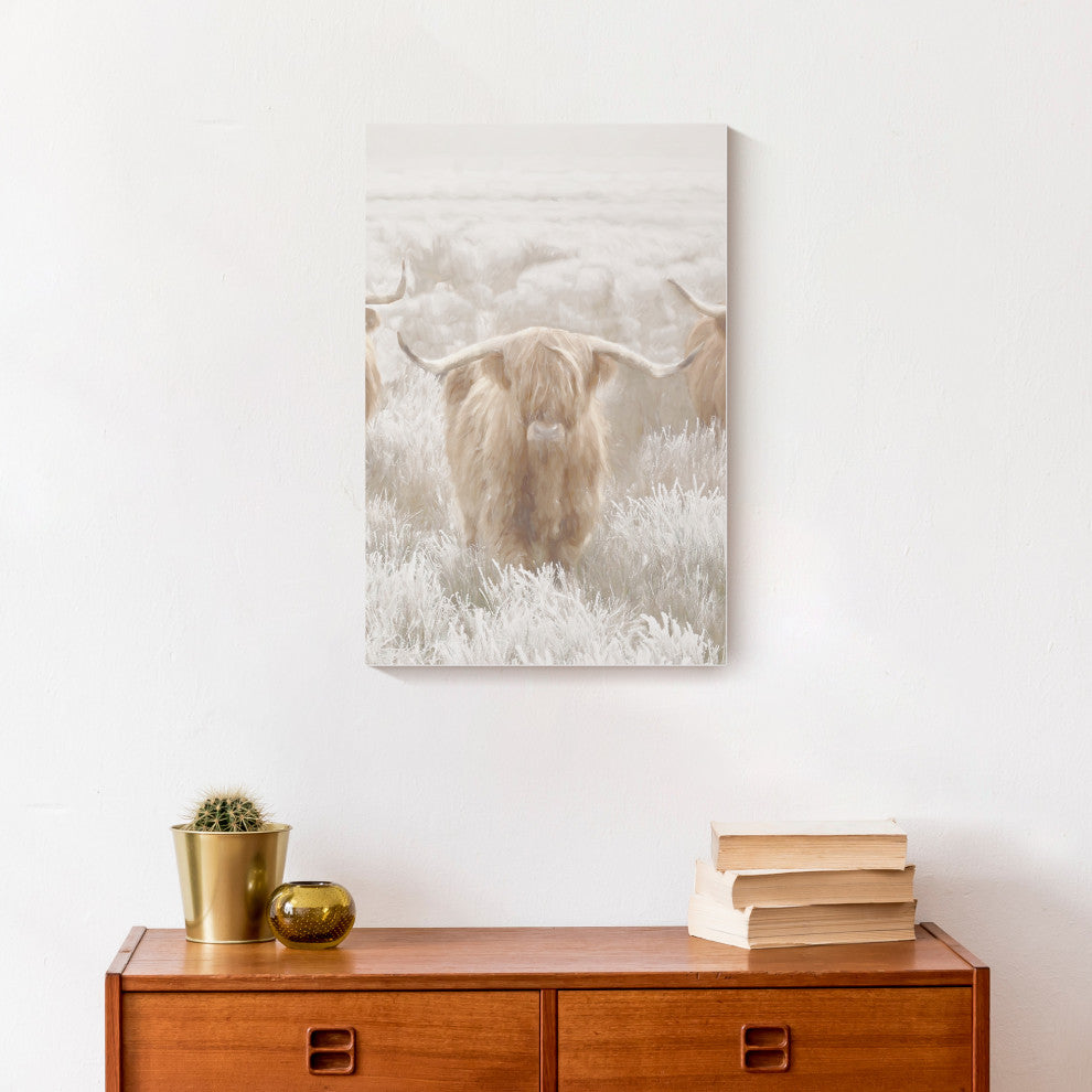 Light and Creamy Highland 12x18 Canvas Wall Art