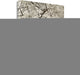"Hampton Magnolia - 2" By Alan Blaustein, Giclee Print on Gallery Wrap Canvas