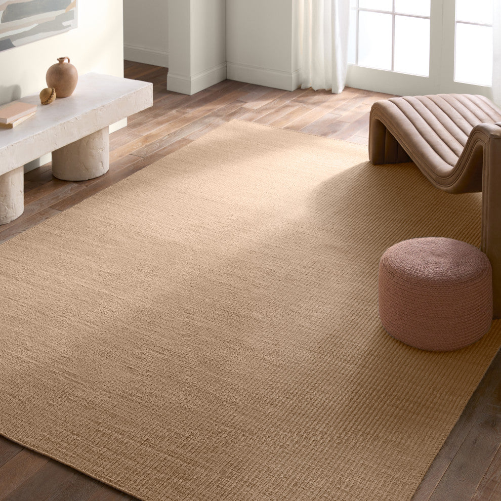 Jaipur Living Facet Handmade Indoor/Outdoor Solid Tan Area Rug 2'X3'