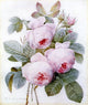 Pierre-Joseph Redoute Roses, 20"x25" Wall Decal Print