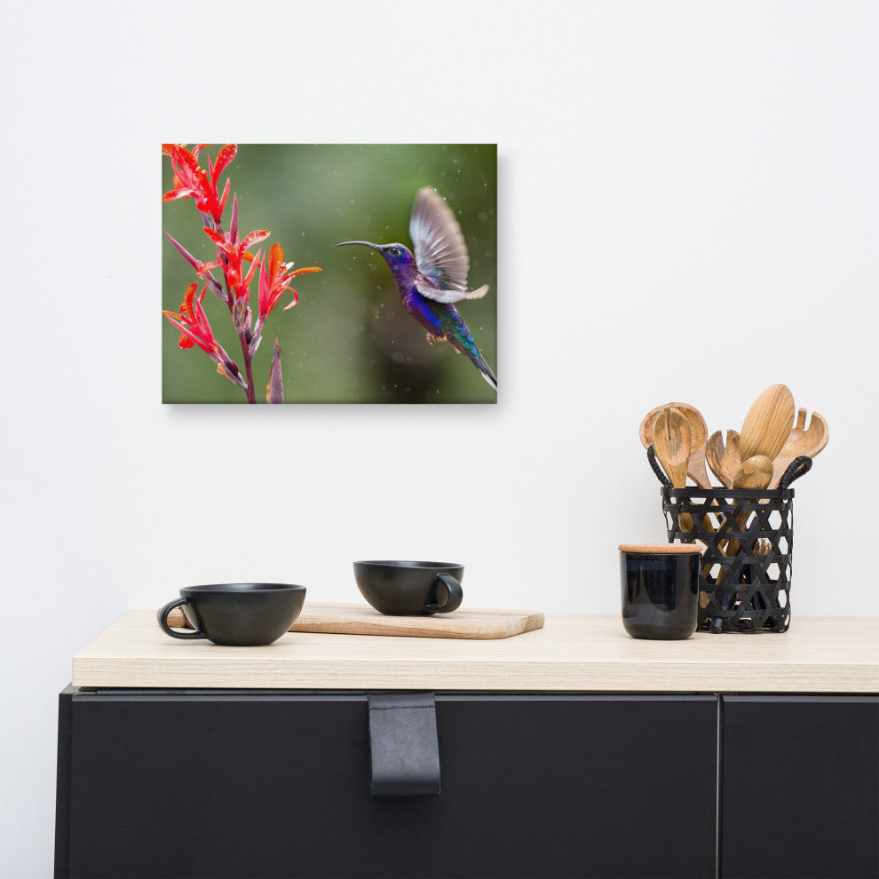 Hummingbird with Little Red Flowers Wildlife Photograph Canvas Wall Art Prints, 12" X 16"