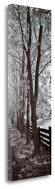 "A Walk To Remember II" By Ily Szilagyi, Giclee Print on Gallery Wrap Canvas
