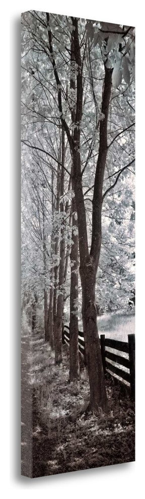 "A Walk To Remember II" By Ily Szilagyi, Giclee Print on Gallery Wrap Canvas