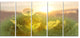 Dandelion Blooming Flower in Field, Floral Canvas Art Print, 60"x28", 5 Panels