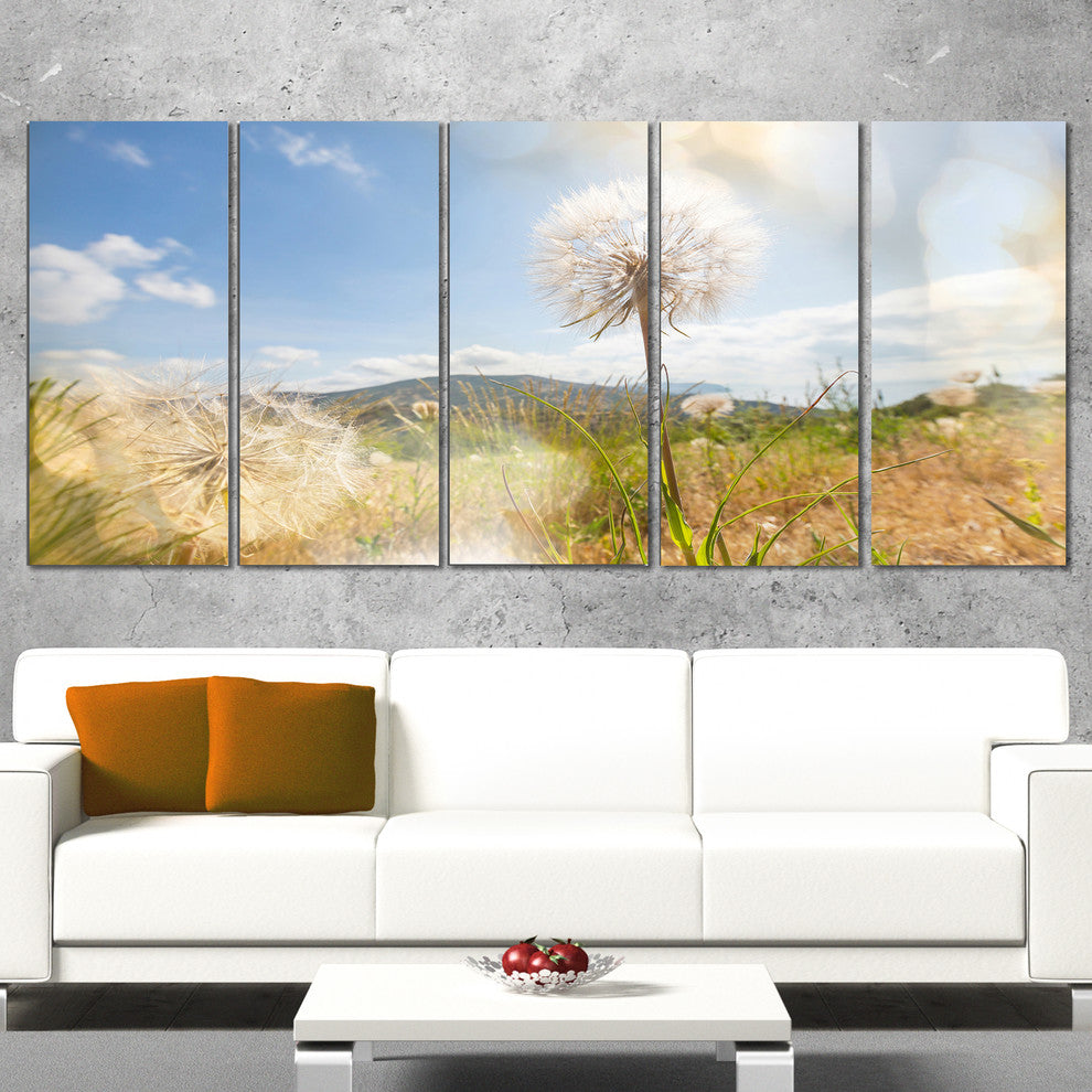 Blooming Dandelion under Bright Sky, Floral Canvas Art Print, 60"x28", 5 Panels